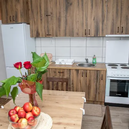 Kuca Stojanovica Topli Do *