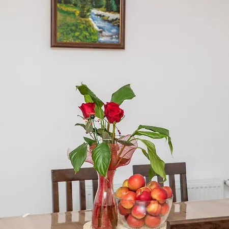 Kuca Stojanovica Topli Do