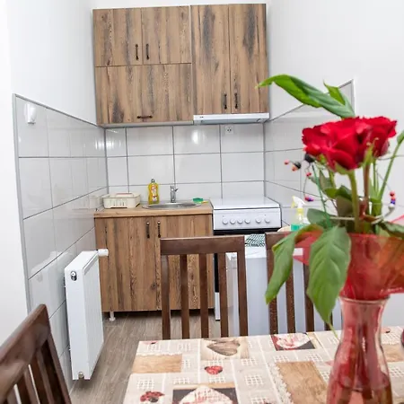 Kuca Stojanovica Topli Do Appartement Pirot