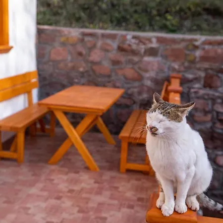 Appartement Kuca Stojanovica Topli Do *