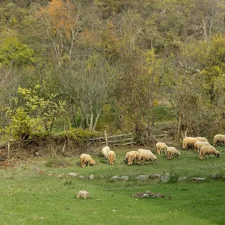 Kuca Stojanovica Topli Do