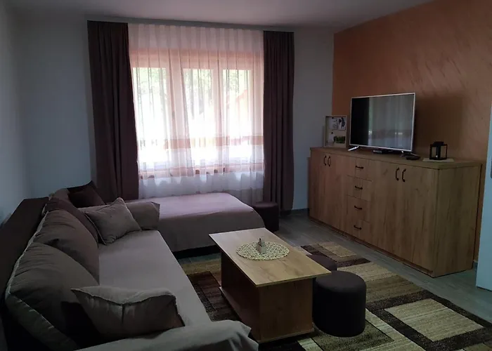 Kuca Stojanovica Topli Do Apartamento Pirot