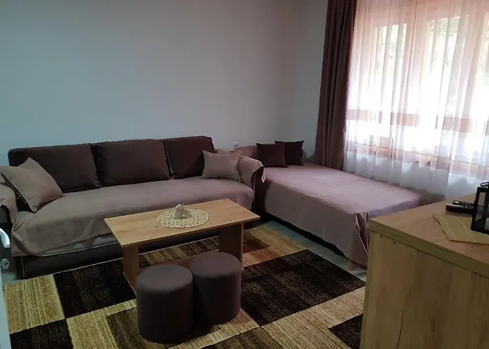 Apartamento Kuca Stojanovica Topli Do *
