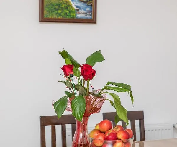 Kuca Stojanovica Topli Do