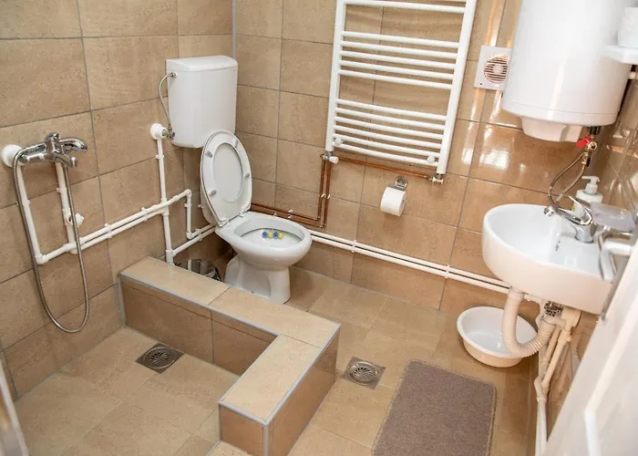 Kuca Stojanovica Topli Do Pirot