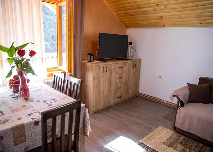 Kuca Stojanovica Topli Do Apartamento Pirot