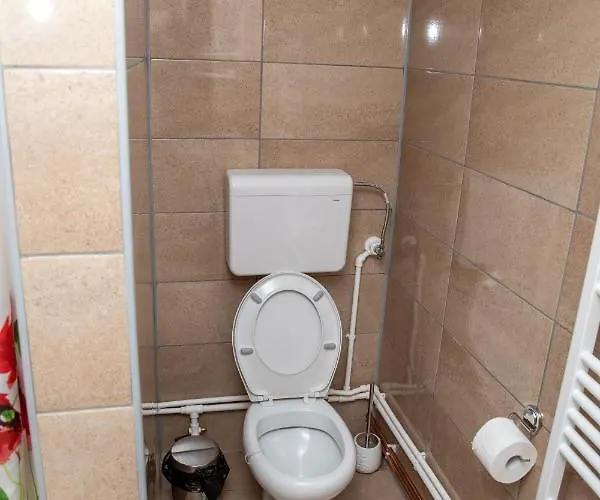 Kuca Stojanovica Topli Do