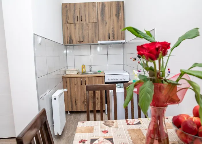 Kuca Stojanovica Topli Do Apartamento Pirot