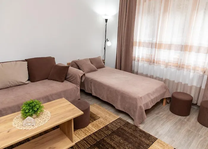 Kuca Stojanovica Topli Do * Pirot