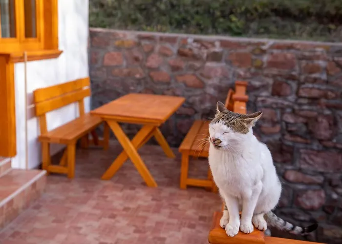 アパート Kuca Stojanovica Topli Do *