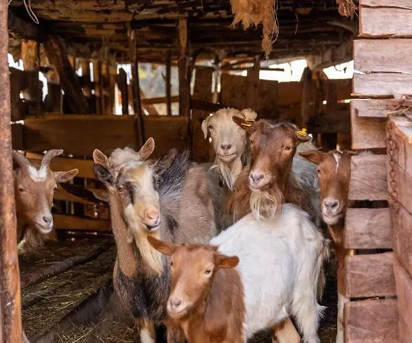 アパート Kuca Stojanovica Topli Do