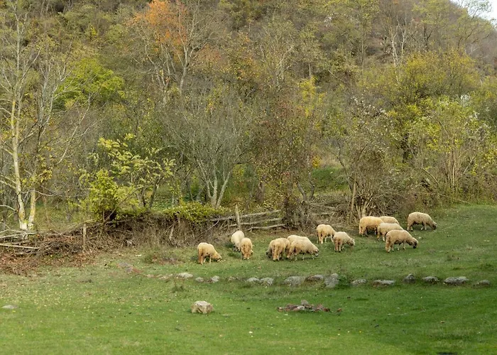 Kuca Stojanovica Topli Do